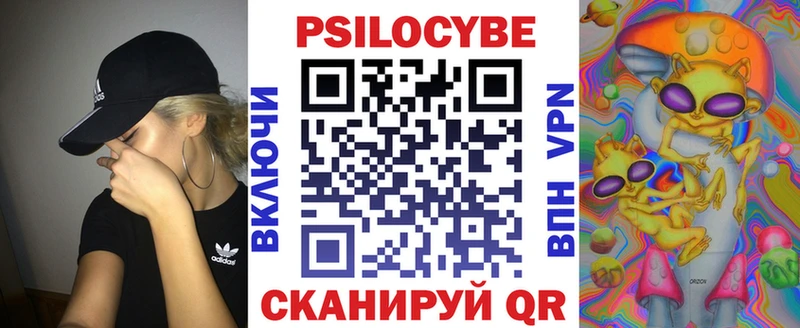 где купить наркоту  Сортавала  Псилоцибиновые грибы Cubensis 
